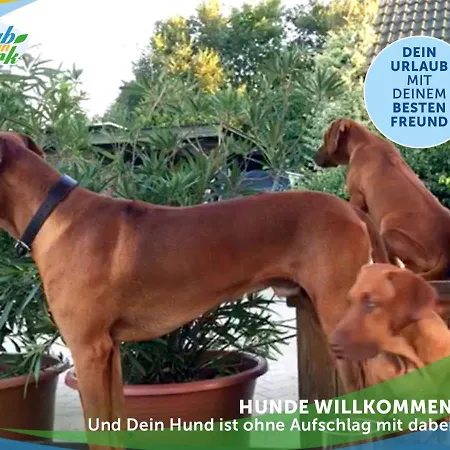Jagd-angler-suite-04-im-wald-am-see Kyritz