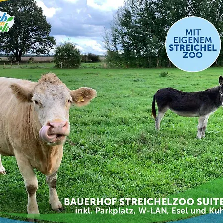 Jagd-angler-suite-04-im-wald-am-see * Kyritz