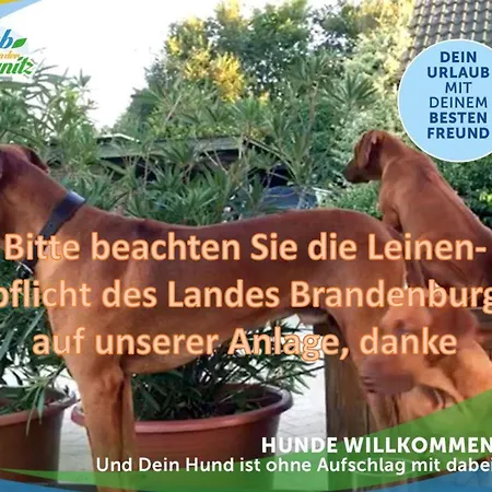 Jagd-angler-suite-04-im-wald-am-see * Kyritz