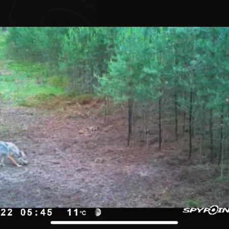 Jagd-angler-suite-04-im-wald-am-see