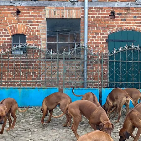 Jagd-angler-suite-04-im-wald-am-see *