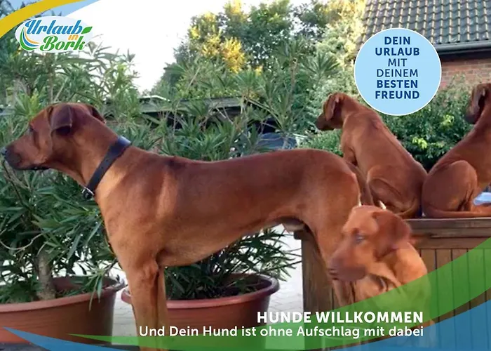 Jagd-angler-suite-04-im-wald-am-see Kyritz