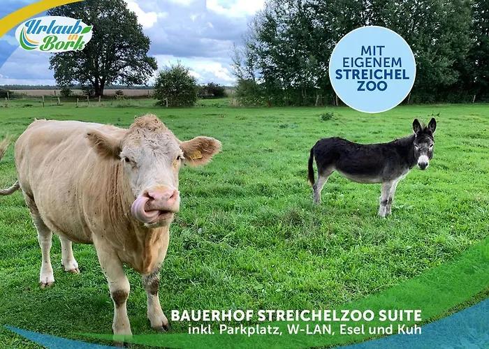 Jagd-angler-suite-04-im-wald-am-see * Kyritz