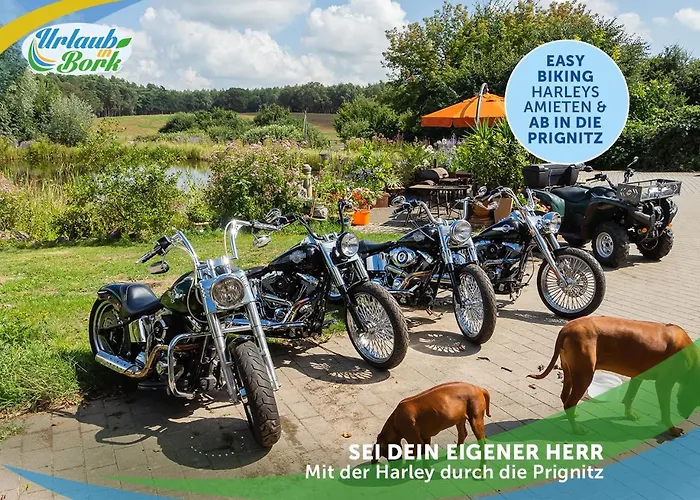 Lejlighed Jagd-angler-suite-04-im-wald-am-see Kyritz