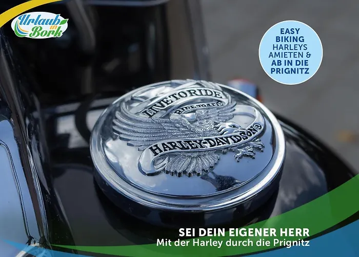 Jagd-angler-suite-04-im-wald-am-see Kyritz