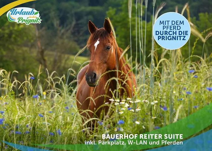 Jagd-angler-suite-04-im-wald-am-see