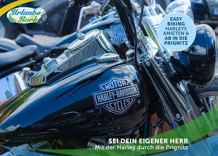 Lejlighed Jagd-angler-suite-04-im-wald-am-see