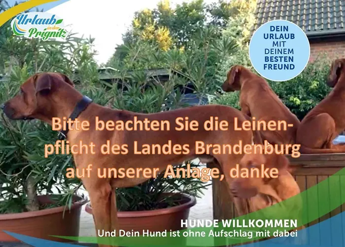 Jagd-angler-suite-04-im-wald-am-see * Kyritz