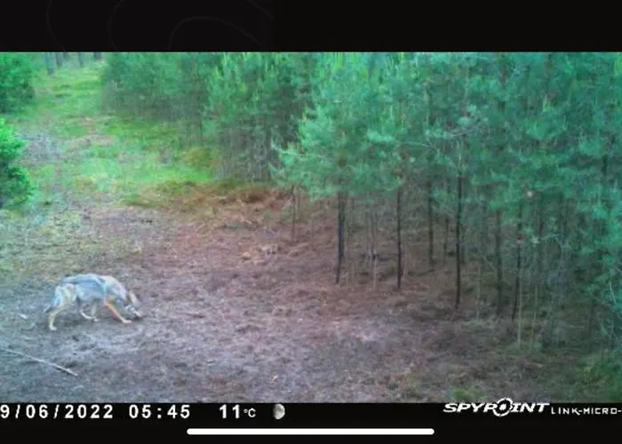 Jagd-angler-suite-04-im-wald-am-see