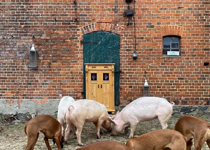 Jagd-angler-suite-04-im-wald-am-see Kyritz