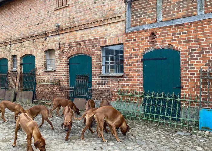 Jagd-angler-suite-04-im-wald-am-see