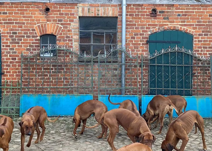 Lejlighed Jagd-angler-suite-04-im-wald-am-see