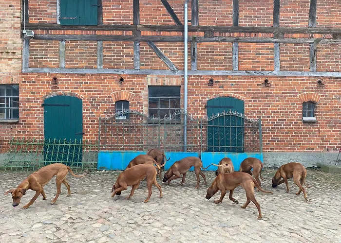 Jagd-angler-suite-04-im-wald-am-see Lejlighed *